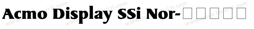 Acmo Display SSi Nor字体转换